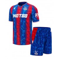 Camisa de time de futebol Crystal Palace Adam Wharton #20 Replicas 1º Equipamento Infantil 2024-25 Manga Curta (+ Calças curtas)